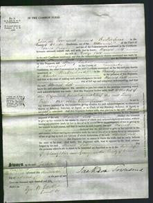 Court of Common Pleas - Harriet Salt-Original Ancestry