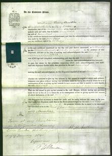 Court of Common Pleas - Anne Ward-Original Ancestry