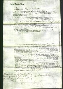 Court of Common Pleas - Harriett Benton-Original Ancestry