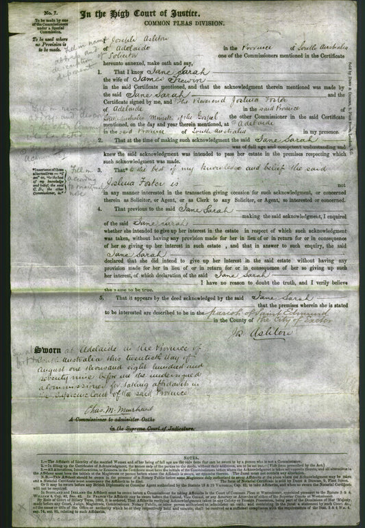 Court of Common Pleas - Jane Sarah Trewin-Original Ancestry