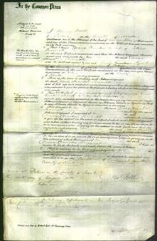 Court of Common Pleas - Diana Churcher Penniall-Original Ancestry