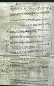 Court of Common Pleas - Fanny Taylor-Original Ancestry