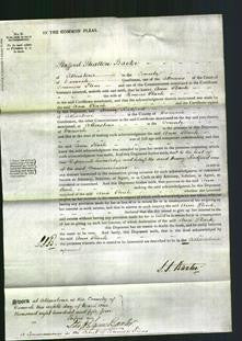 Court of Common Pleas - Ann Slack-Original Ancestry