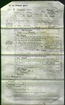 Court of Common Pleas - Ann Baylis-Original Ancestry