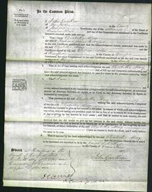 Court of Common Pleas - Elizabetha Mary Hereford-Original Ancestry