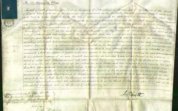 Court of Common Pleas - Elizabeth Esam-Original Ancestry