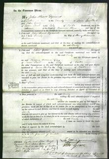 Court of Common Pleas - Emily Williams-Original Ancestry