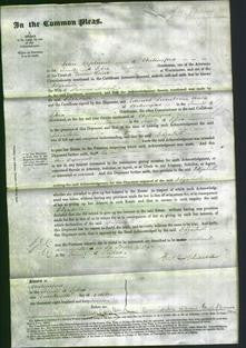 Court of Common Pleas - Elizabeth Morall-Original Ancestry