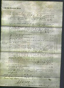 Court of Common Pleas - Harriette Yates-Original Ancestry