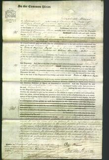 Court of Common Pleas - Elizabeth Bridge-Original Ancestry