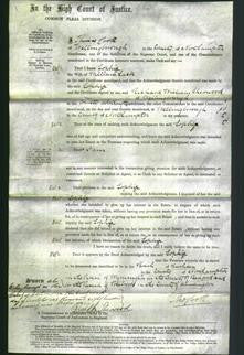 Court of Common Pleas - Sophia Lack-Original Ancestry