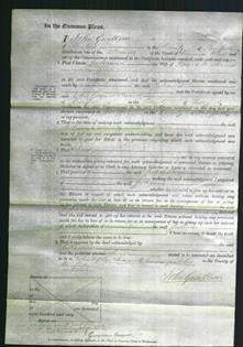 Court of Common Pleas - Julianna Williams-Original Ancestry