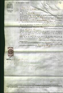 Court of Common Pleas - Elizabeth Flanagan-Original Ancestry