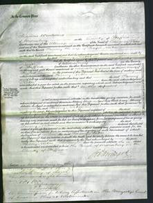 Court of Common Pleas - Fanny Norton-Original Ancestry