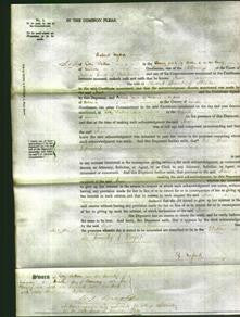 Court of Common Pleas - Jesse Dunkley-Original Ancestry