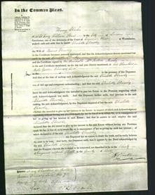 Court of Common Pleas - Charlotte Cheasley-Original Ancestry