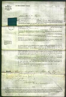 Court of Common Pleas - Ann Wharf-Original Ancestry