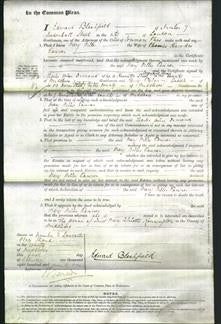 Court of Common Pleas - Mary Willes Tanner-Original Ancestry