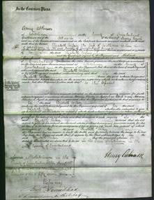 Court of Common Pleas - Elizabeth Wilson-Original Ancestry
