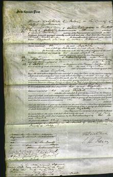 Court of Common Pleas - Elizabeth Cullwick-Original Ancestry