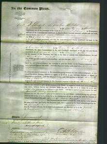 Court of Common Pleas - Harriett Mary Axcell-Original Ancestry