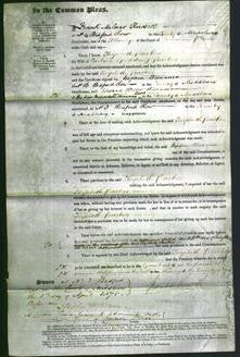 Court of Common Pleas - Elizabeth Parker-Original Ancestry