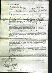 Court of Common Pleas - Mary Anne Byas-Original Ancestry