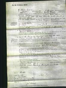 Court of Common Pleas - Margaret Ashburner-Original Ancestry