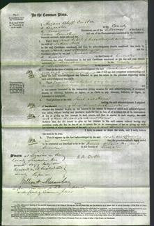 Court of Common Pleas - Sarah Hadfield and Harriet Hull-Original Ancestry