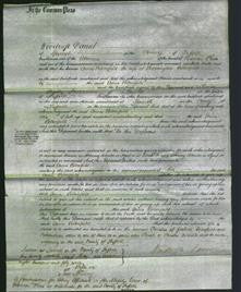 Court of Common Pleas - Anna Blomfield-Original Ancestry