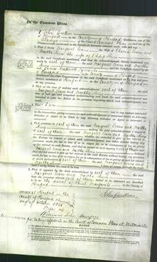 Court of Common Pleas - Margaret Evans and Martha Lewis-Original Ancestry