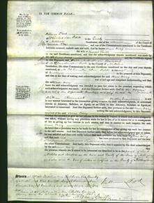 Court of Common Pleas - Anne Mary Smith-Original Ancestry