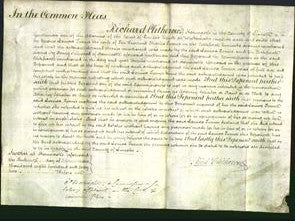 Court of Common Pleas - Louisa Turner-Original Ancestry