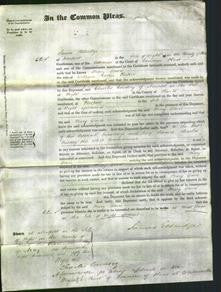 Court of Common Pleas - Mary Davis Parker-Original Ancestry