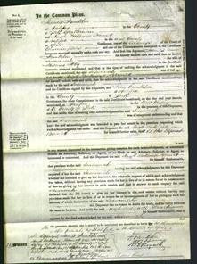 Court of Common Pleas - Susannah Hey-Original Ancestry