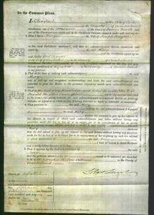 Court of Common Pleas - Mary Hayton-Original Ancestry