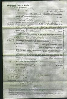 Court of Common Pleas - Ann Millar-Original Ancestry