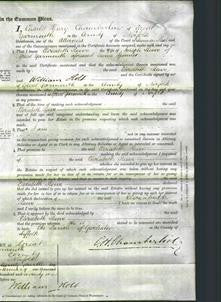 Court of Common Pleas - Elizabeth Reeve-Original Ancestry