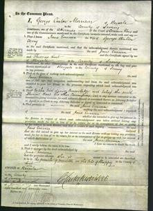 Court of Common Pleas - Jane Emma Terry-Original Ancestry
