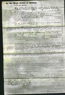 Court of Common Pleas - Mary Ann Gale-Original Ancestry