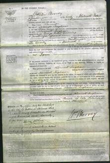 Court of Common Pleas - Harriett Ingham-Original Ancestry