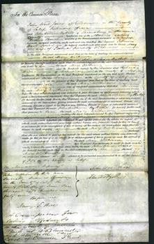 Court of Common Pleas - Mary Wilkinson-Original Ancestry