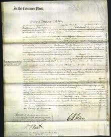 Court of Common Pleas- Ann Lane-Original Ancestry