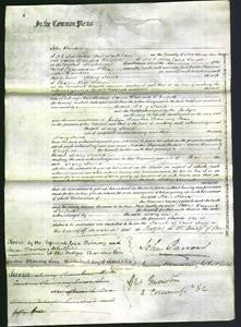 Court of Common Pleas - Mary Anna Nelson-Original Ancestry