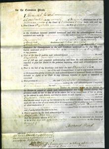 Court of Common Pleas - Elizabeth Dennis-Original Ancestry