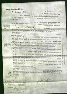 Court of Common Pleas - Eliza Husbands-Original Ancestry