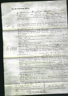 Court of Common Pleas - Ann Worsey-Original Ancestry