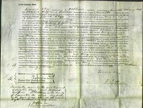 Court of Common Pleas - Mary Wild-Original Ancestry