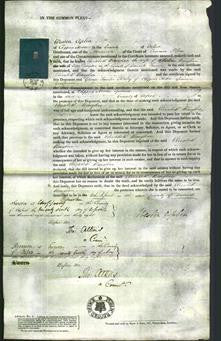 Court of Common Pleas - Elizabeth Baughan-Original Ancestry