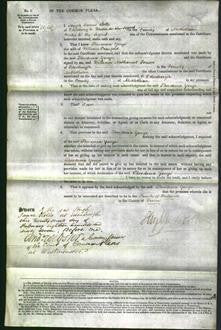 Court of Common Pleas - Theodosia Yonge Crawford-Original Ancestry